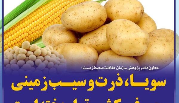 عکس سویای تراریخته