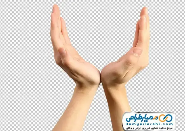 عکس وکتور دست