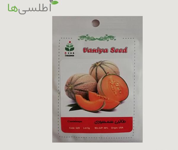 عکس داخل طالبی
