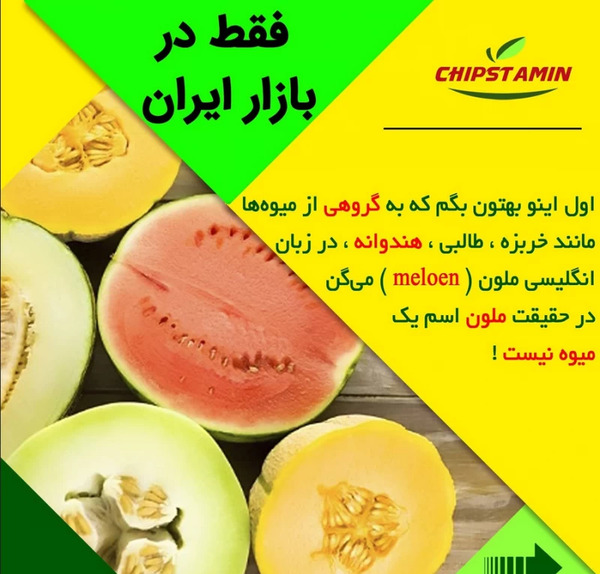 عکس داخل طالبی
