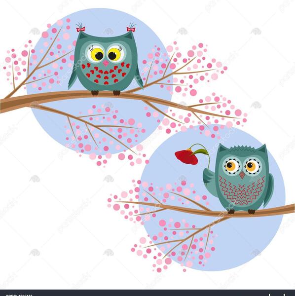 عکس جغد زیبا روی درخت