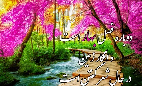 عکس منظره عاشقانه دو نفره