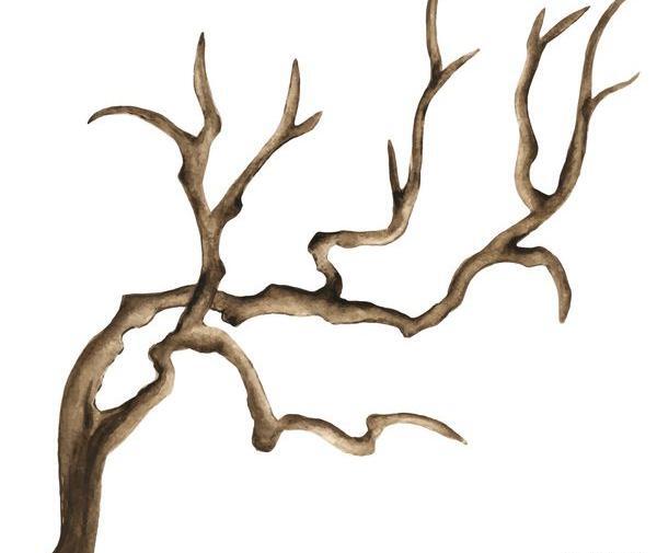 عکس گل پژمرده برای نقاشی