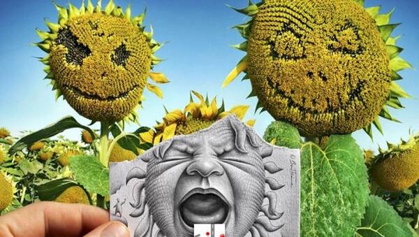 عکس گل پژمرده برای نقاشی