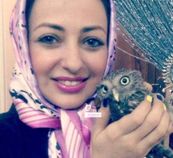 عکس جغد خانگی