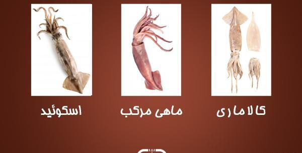 عکس ماهی مرکب خساک