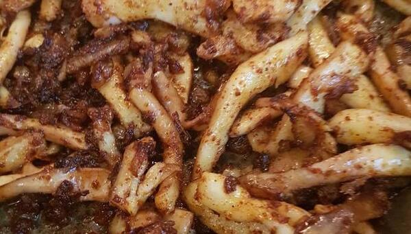 عکس ماهی مرکب خساک
