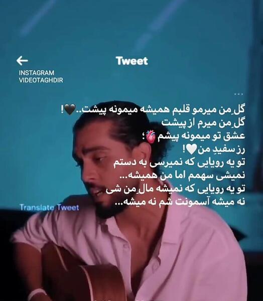 عکس حامیم رز سفید