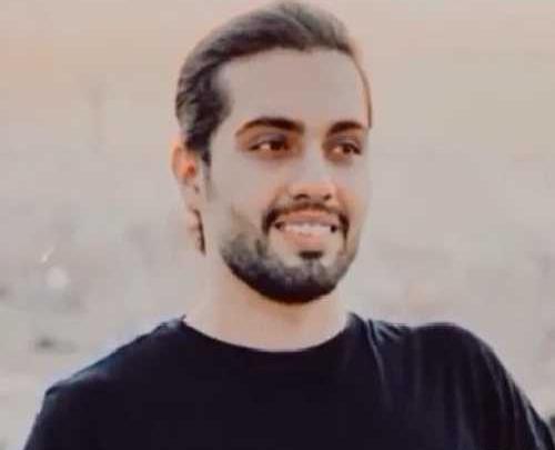 عکس حامیم رز سفید