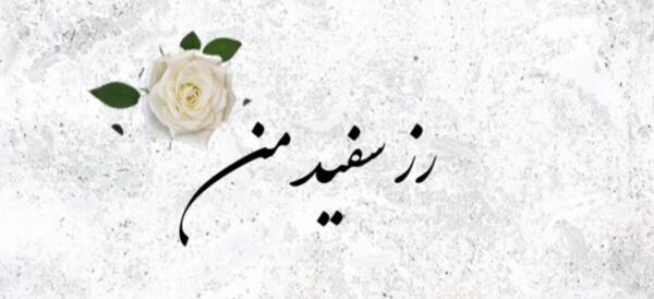عکس حامیم رز سفید