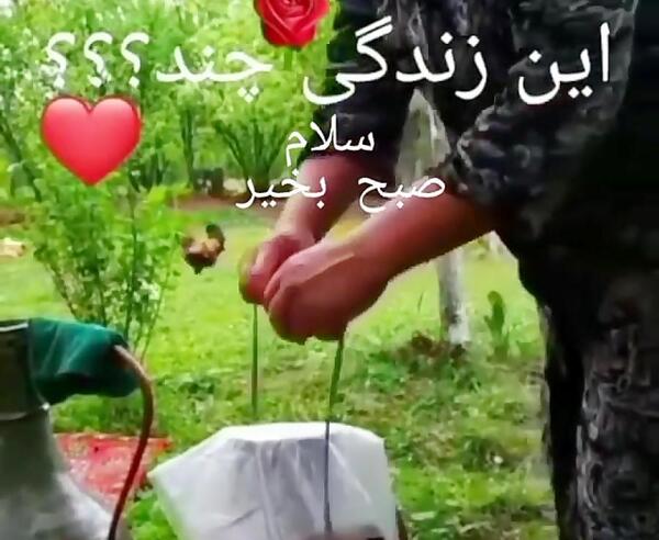 عکس روز بخیر بهاری