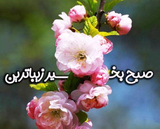 عکس روز بخیر بهاری