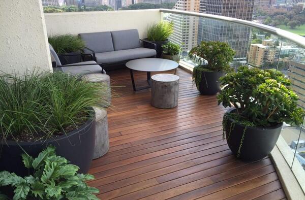 عکس بهار خواب ها
