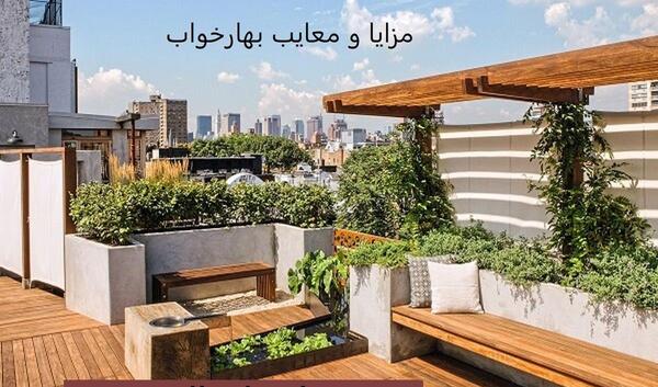 عکس بهار خواب ها