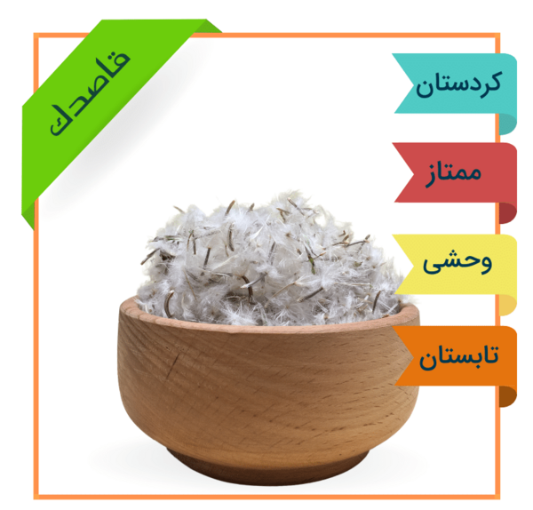 عکس گل قاصدک