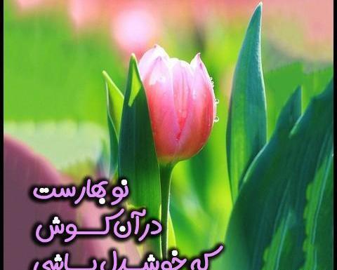 عکس نوشته بهار جدید