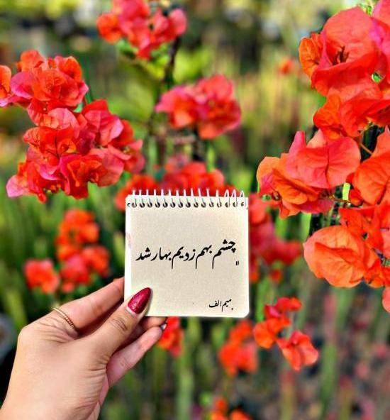 عکس نوشته بهار جدید