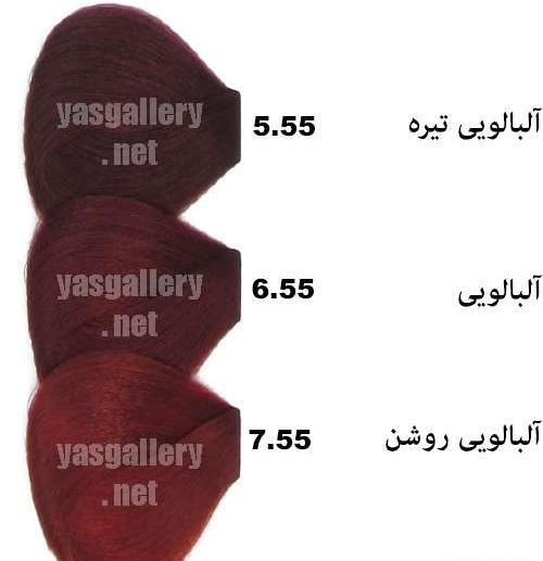 عکس رنگ مو آلبالویی