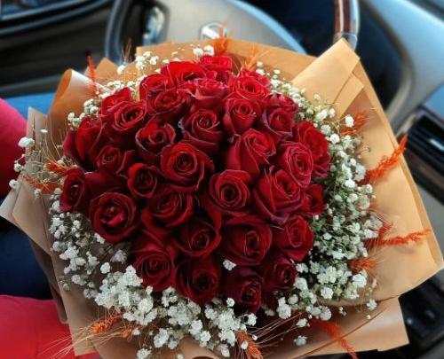 عکس گل رز قرمز دسته گل
