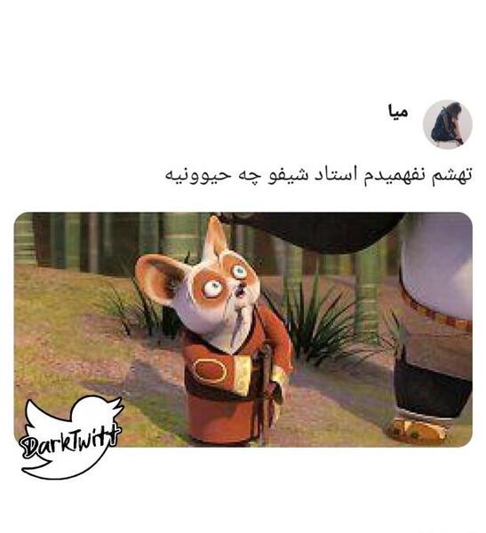 عکس هایی از استاد شیفو