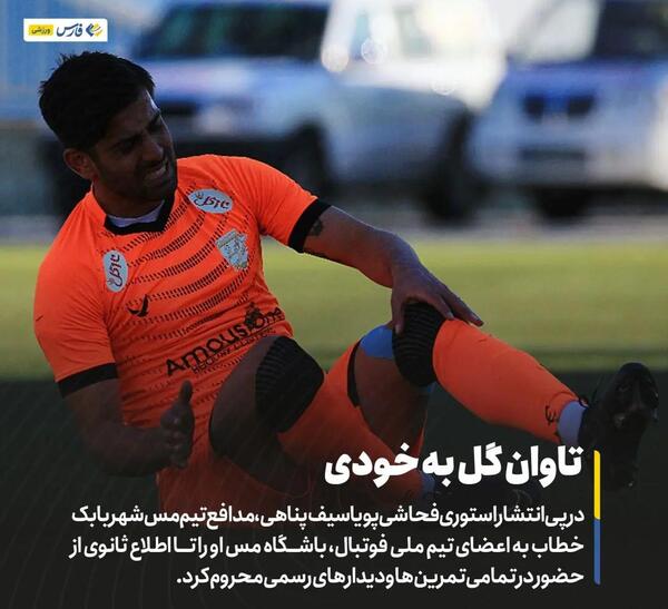 عکس پویا سیف پناهی