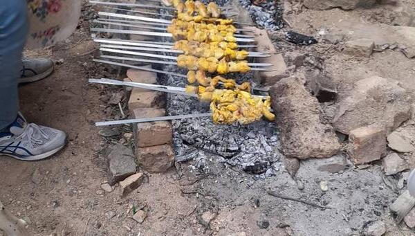 عکس جوجه تیغی در طبیعت