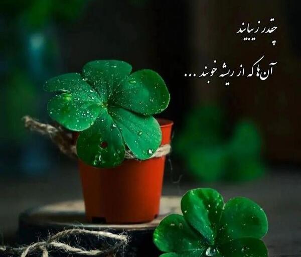 عکس غمگین کنایه دار