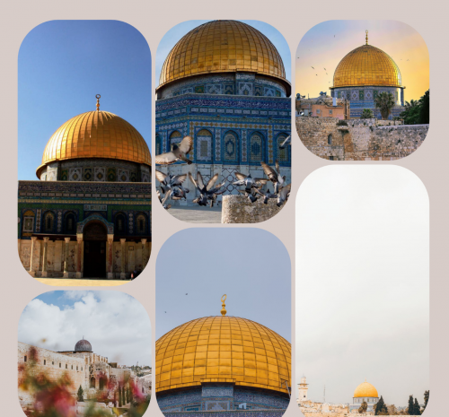 عکس خام آبی