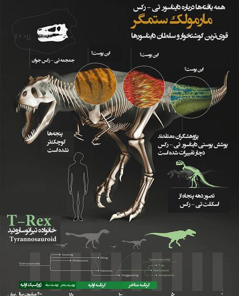 عکس بزرگترین تیرکس در جهان