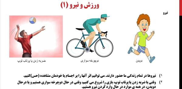 عکس ورزش و نیرو 2