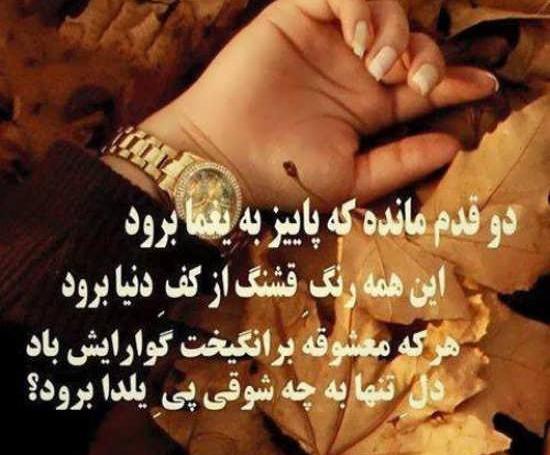 عکس پاییزی یلدا