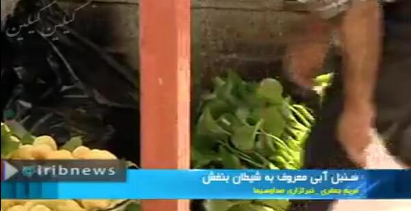 عکس گل شیطان بنفش