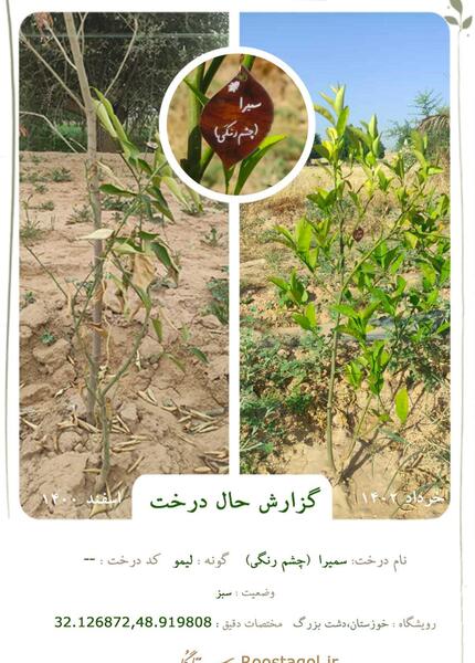عکس سمیرا فعلی