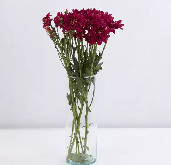 عکس زرشکی