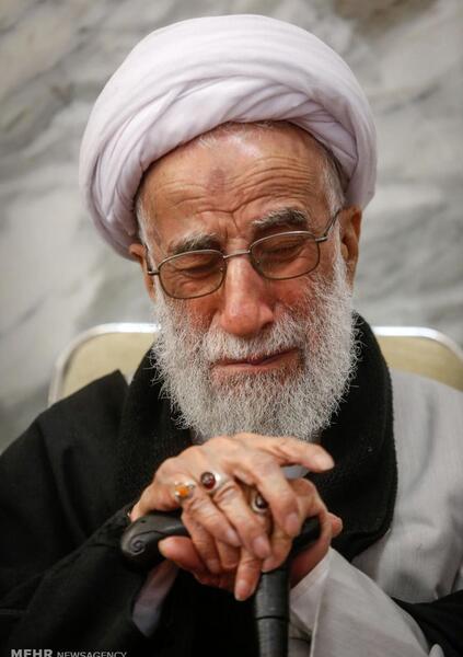 عکس همسر جدید آیت الله جنتی