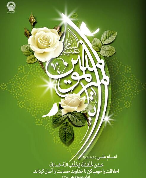 عکس گل رز سفید با کیفیت بالا