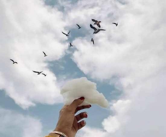 عکس فیک سینما
