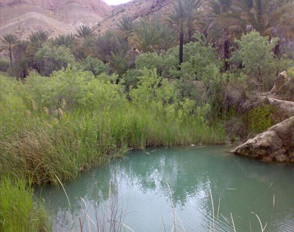 عکس جاده لامرد