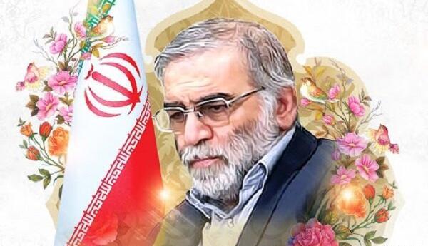 عکس سردار سلیمانی و شهید فخری زاده
