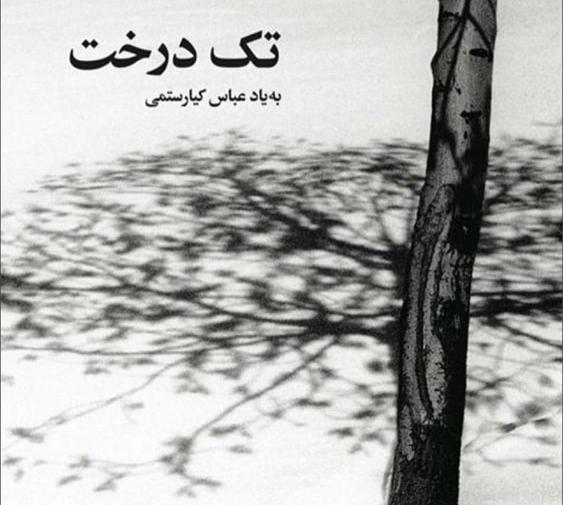 عکسهای عباس کیارستمی