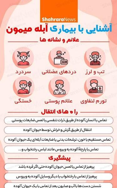 عکس ابله میمون در ایران