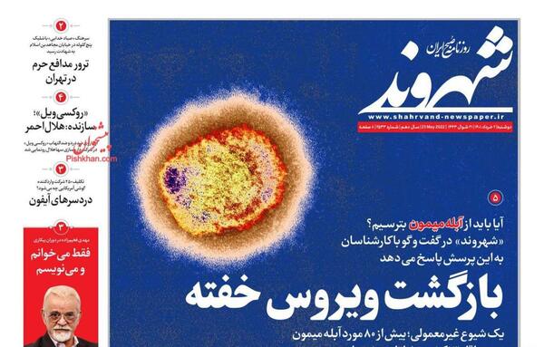 عکس ابله میمون در ایران