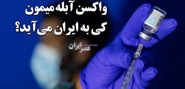 عکس ابله میمون در ایران