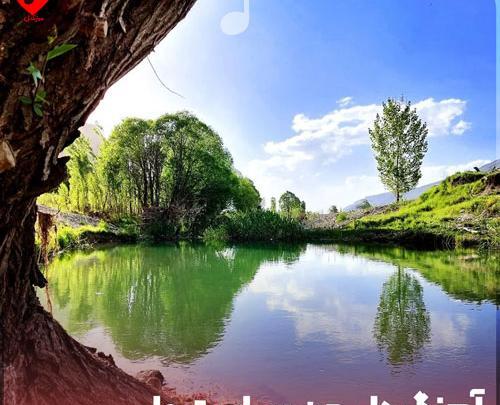 عکس سیکس پک شادمهر