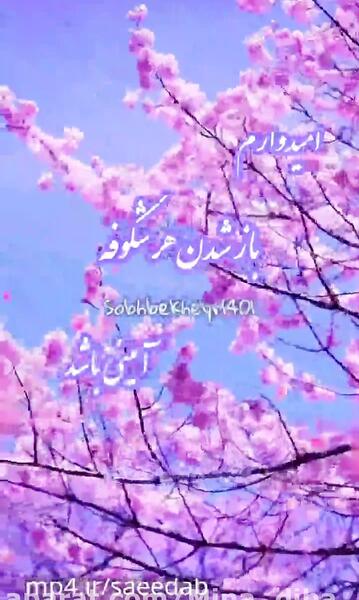 عکس روز بخیر گفتن