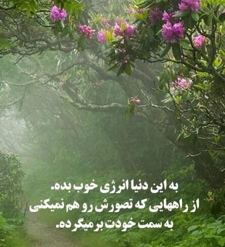 عکس روز بخیر گفتن
