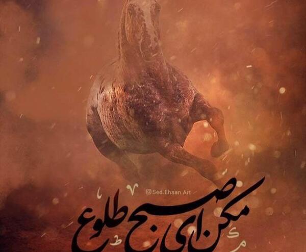 عکس نوشته سقای حسین سید و سالار نیامد