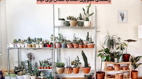 عکس دکوراسیون با گلدان