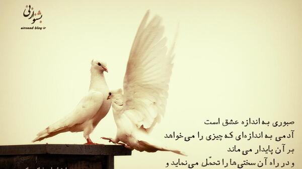 عکس نوشته صبر برای عشق