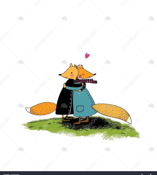 عکس روباه پا سفید